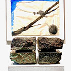 �W�����i