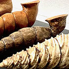 �W�����i