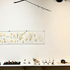 �W�����i