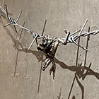 �W�����i